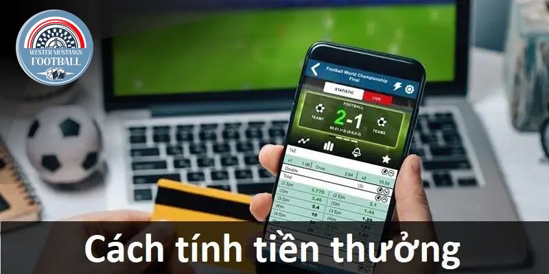 Hướng Dẫn Tính Tiền Thắng, Thua Khi Cược Kèo Thẻ Phạt