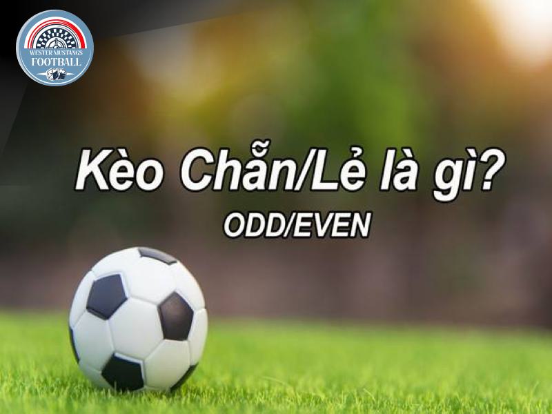 Hướng Dẫn Chi Tiết Cách Chơi Kèo Chẵn Lẻ Cho Người Mới Bắt Đầu